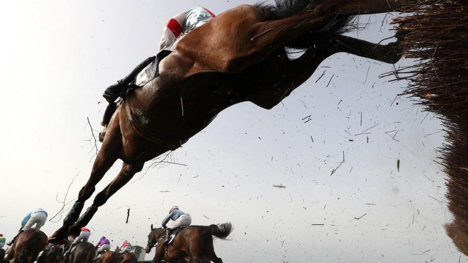 Horse racing at Ffos Las